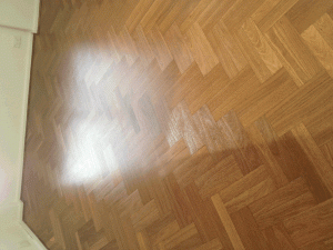 New Pictures 2014 014
